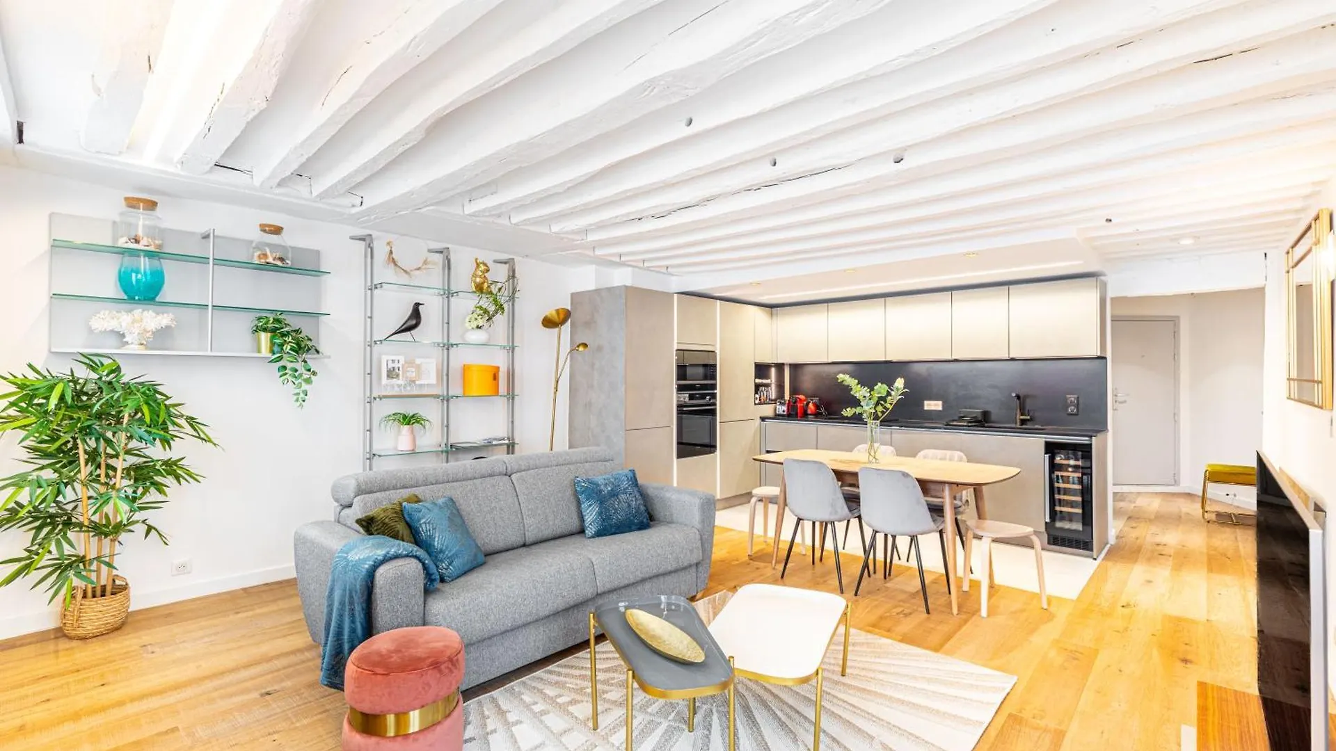 Appartement Vertus Paris Apartment